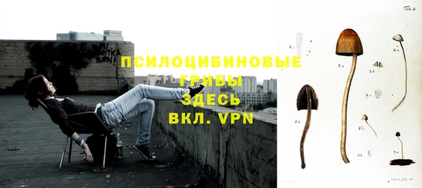 амф Ростов