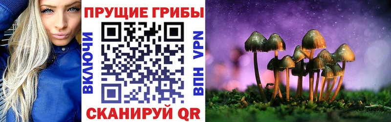 Псилоцибиновые грибы мухоморы  Нарьян-Мар 