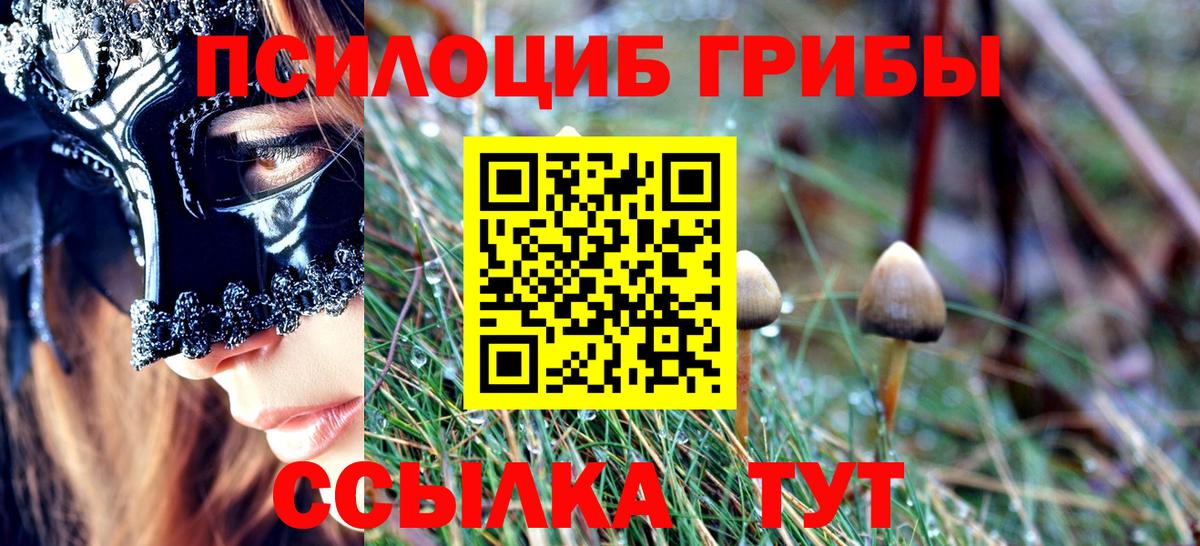 Нарьян-Мар  Псилоцибиновые грибы Cubensis  хочу   Вход с VPN 