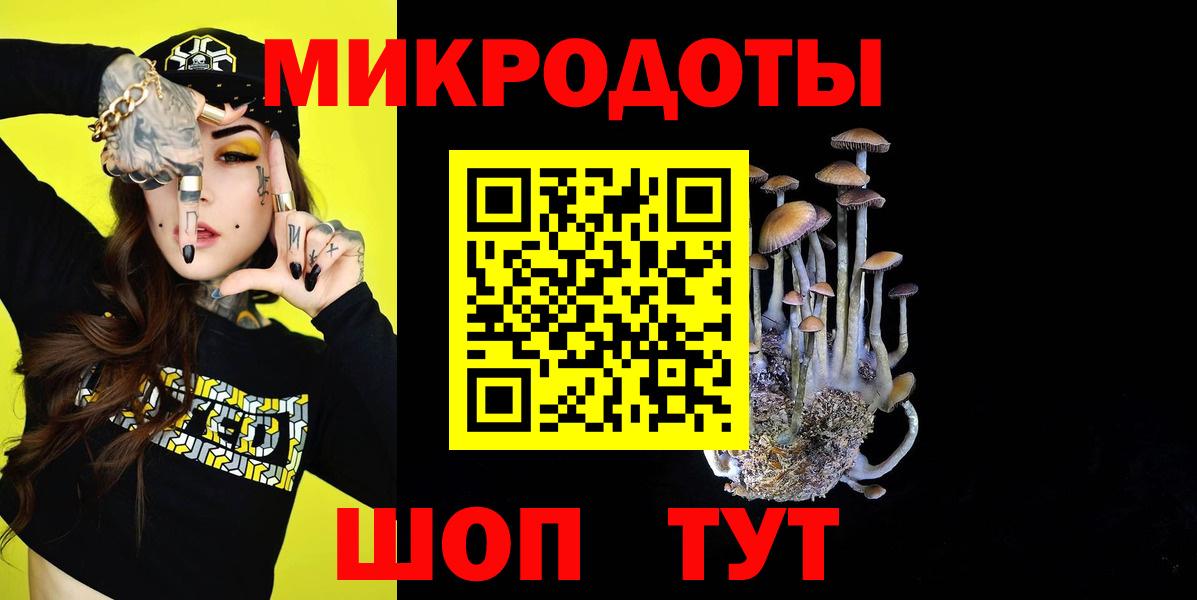 Галлюциногенные грибы Psilocybine cubensis Нарьян-Мар